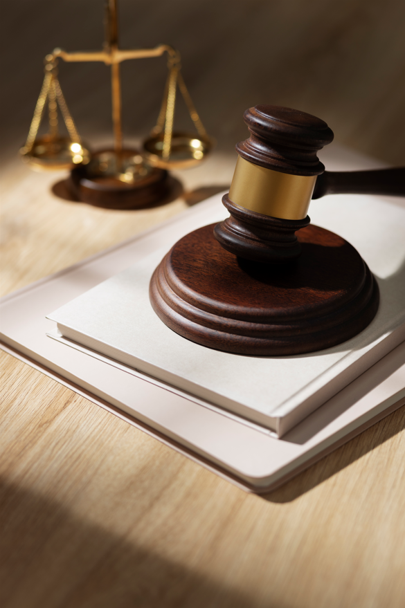 Immigration law